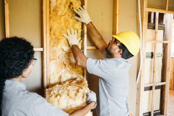 Best Energy-Efficient Insulation  in USA